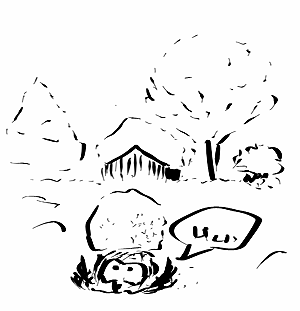 bagolymondjahavazott