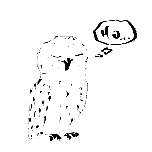 bagolymondjahobagoly