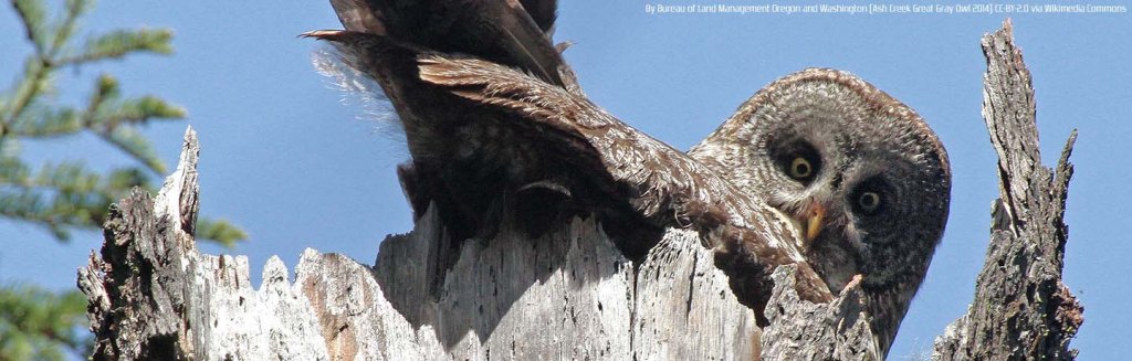 Autópálya matrica fél áron?