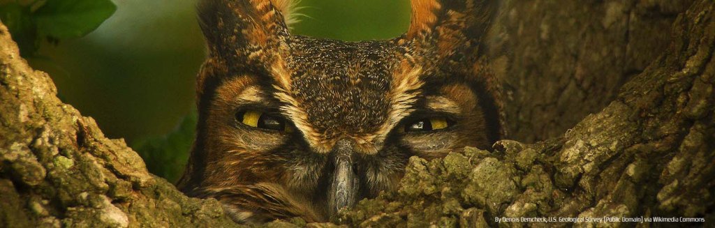 Hasáb, hasább, leghasább