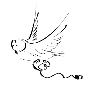 bagolymondjaittazeger