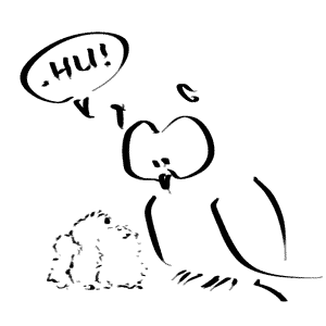 bagolymondjatanuljfiam