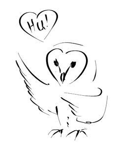 bagolymondjavalentin