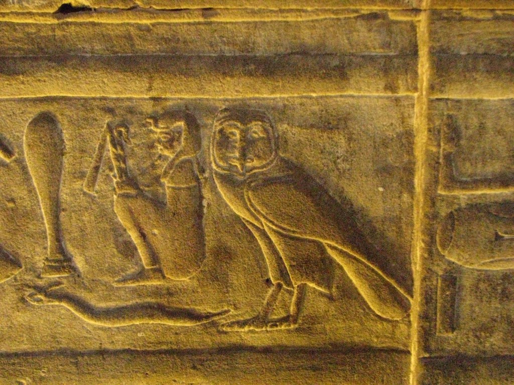 Kié az egyiptomi&nbsp;bagoly?