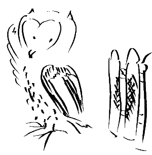 bagolymondja_frissenfestve