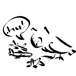 bagolymondja_howdyplanes